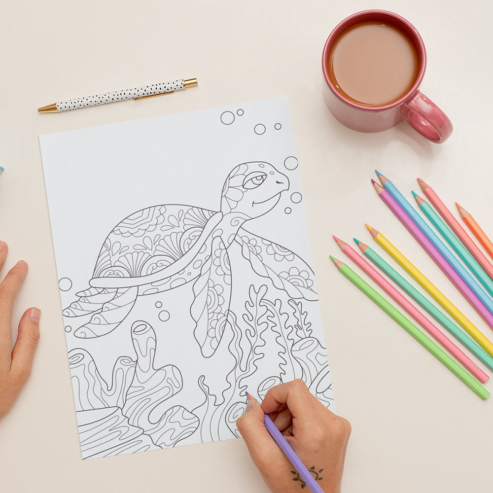 Tropical Coloring Book - Volume 2 - Animals & Flowers