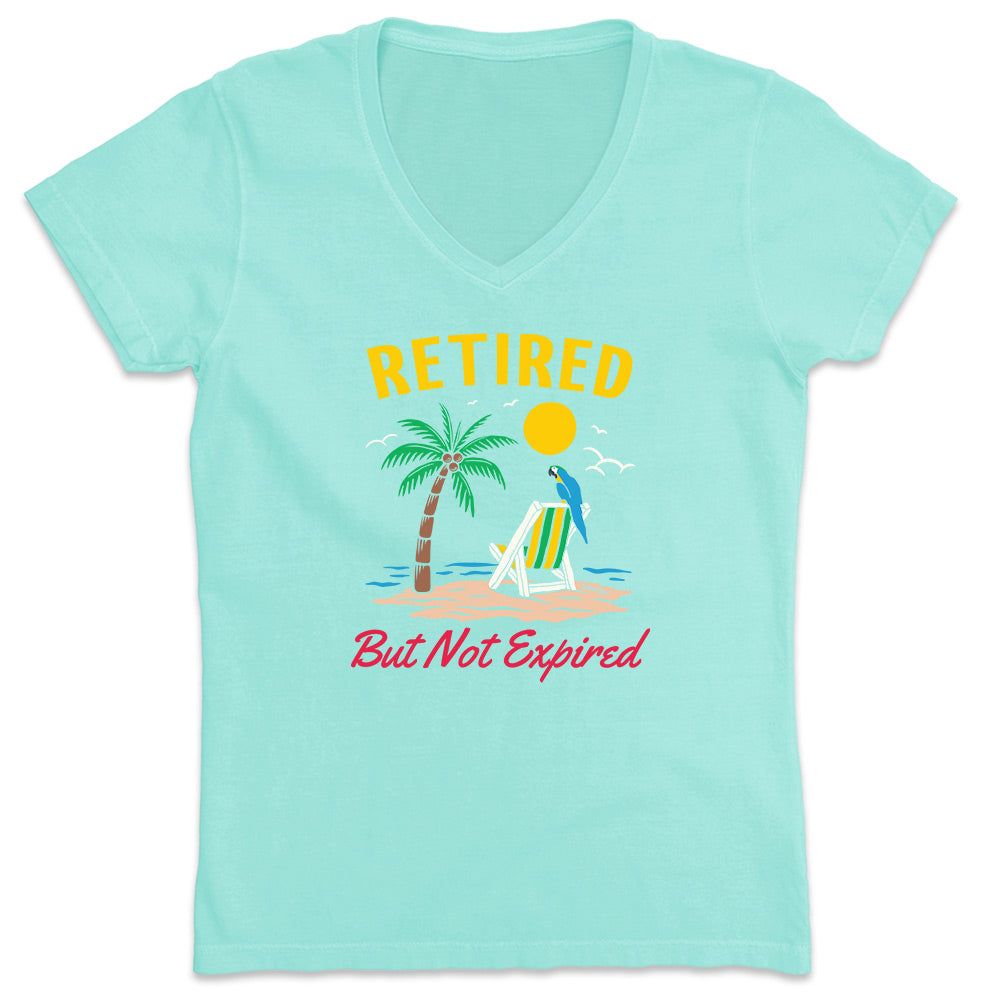 Women's Retired But Not Expired V-Neck T-Shirt Chill