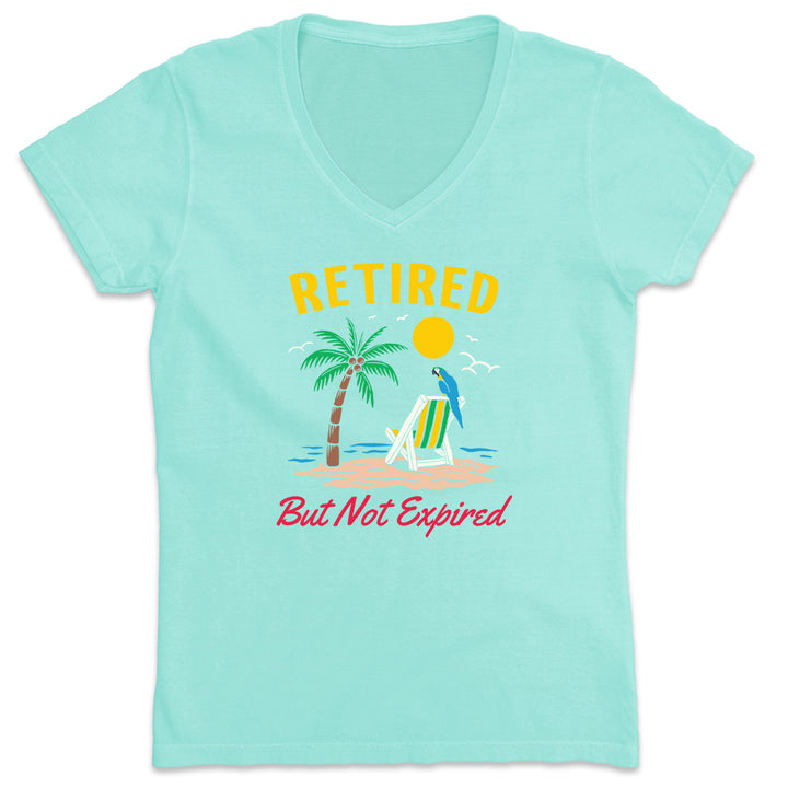 Women's Retired But Not Expired V-Neck T-Shirt Chill